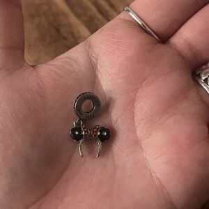 pandora charm